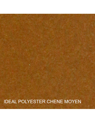 PATE A BOIS POLYESTER