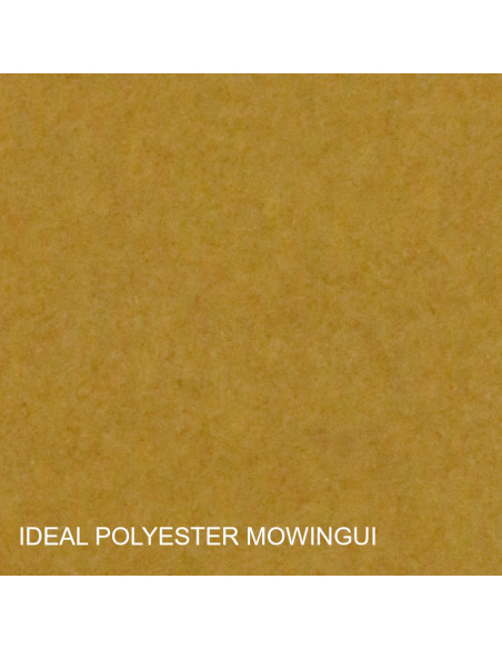 PATE A BOIS POLYESTER