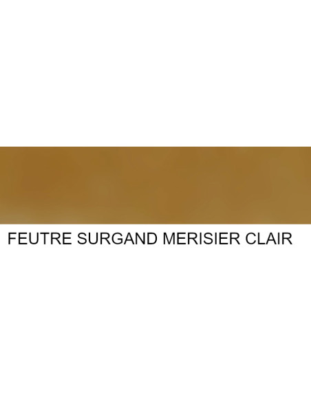 POCHETTE 6 FEUTRES PANACHES CLAIR