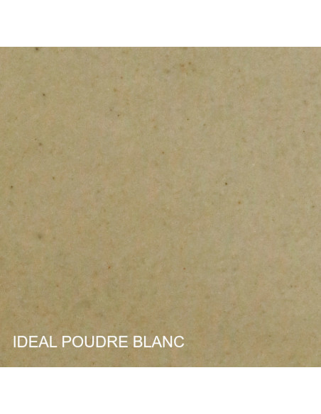 PATE A BOIS IDEAL POUDRE