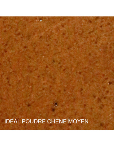 PATE A BOIS IDEAL POUDRE XP5
